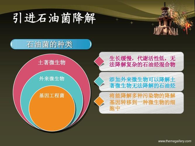 海洋石油污染的生物修复ppt